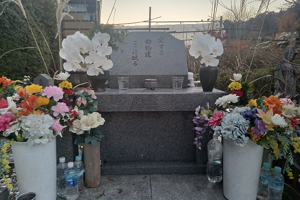 霊園の特徴