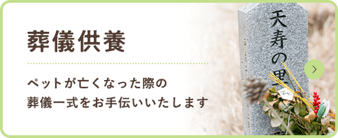 葬儀供養 ペットが亡くなった際の 葬儀一式をお手伝いいたします