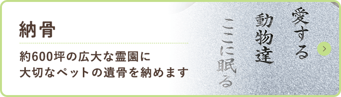 納骨 約600坪の広大な霊園に 大切なペットの遺骨を納めます