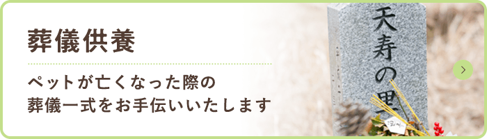 葬儀供養 ペットが亡くなった際の 葬儀一式をお手伝いいたします